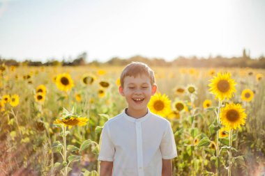 Little cute boy 8 years old in a sunflower field. Portrait of a happy child.