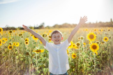 Little cute boy 8 years old in a sunflower field. Portrait of a happy child.