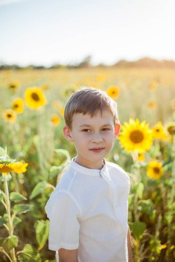 Little cute boy 8 years old in a sunflower field. Portrait of a happy child.