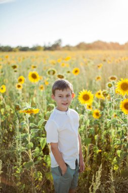 Little cute boy 8 years old in a sunflower field. Portrait of a happy child.