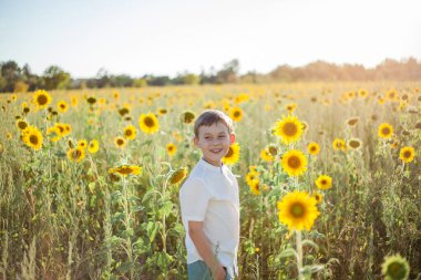 Little cute boy 8 years old in a sunflower field. Portrait of a happy child.