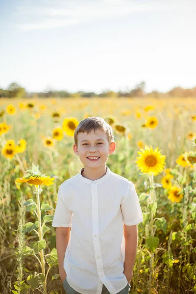 Little cute boy 8 years old in a sunflower field. Portrait of a happy child.