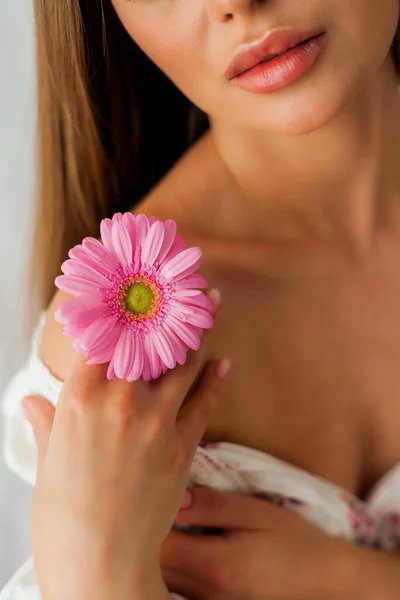 Portrait Young Beautiful Long Haired Brown Eyed Woman Pink Gerbera — 图库照片