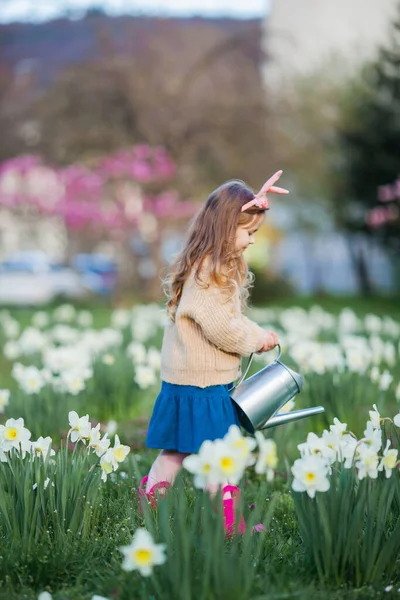 复活节 可爱的小女孩5岁的兔子耳朵正在草坪上浇灌水仙花 快乐的孩子 — 图库照片