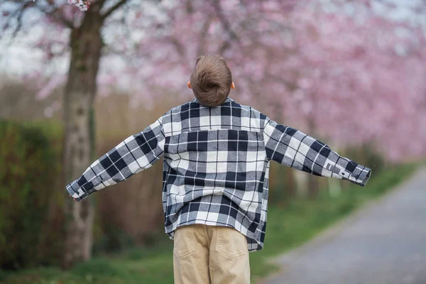 Rozkošný Blonďatý Chlapec Kostkované Košili Světlých Kalhotách Kráčí Parkem Třešňových — Stock fotografie
