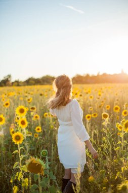 Gün batımında ayçiçeği tarlasında beyaz elbiseli güzel sarışın kadın. Akşam güneşleri.