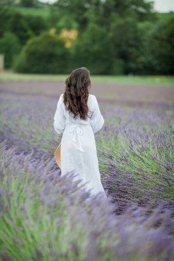 Lavanta tarlası. Güzel, siyah saçlı, kıvırcık saçlı, beyaz elbiseli, mor çiçekli bir kadın..