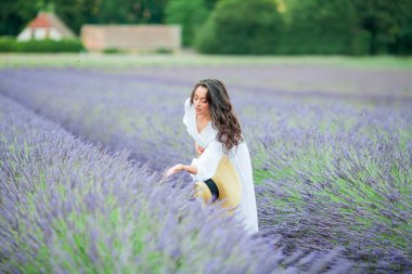 Lavanta tarlası. Güzel, siyah saçlı, kıvırcık saçlı, beyaz elbiseli, mor çiçekli bir kadın..