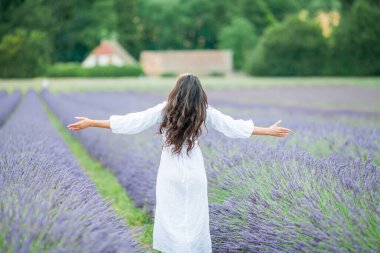 Lavanta tarlası. Güzel, siyah saçlı, kıvırcık saçlı, beyaz elbiseli, mor çiçekli bir kadın..
