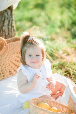 Beautiful young mother with little daughter on a picnic in the field. Summer breakfast with lemons.