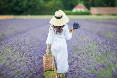 Lavanta tarlası. Güzel, siyah saçlı, kıvırcık saçlı, beyaz elbiseli, mor çiçekli bir kadın..