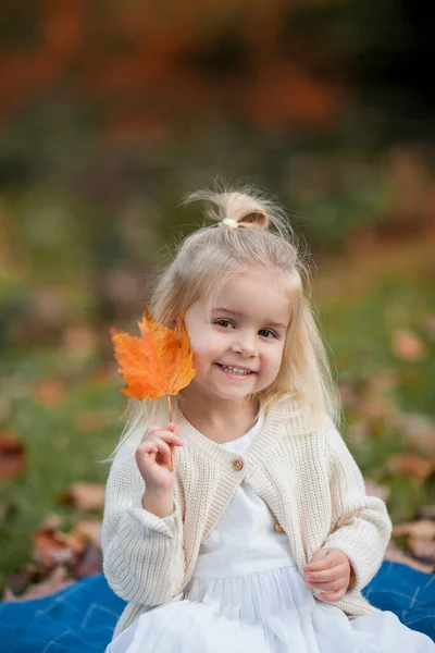 秋天公园里3岁的可爱的白发小女孩 走吧森林 — 图库照片