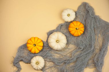 Cadılar Bayramı. Sonbahar tatili için dekor. Küçük balkabakları. Arkaplan.