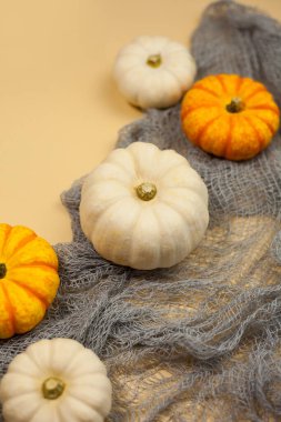 Cadılar Bayramı. Sonbahar tatili için dekor. Küçük balkabakları. Arkaplan.