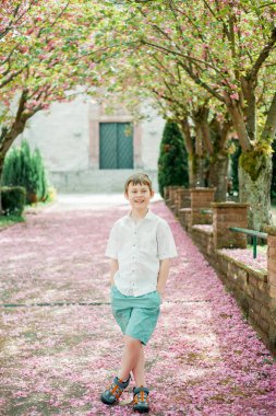 9 yaşında, yaz kıyafetleri içinde, çiçek açan pembe sakura 'nın yanında mutlu bir çocuk. Çocuk parkta yürüyor..