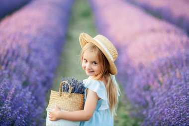 Mavi elbiseli, kahverengi gözlü, 5 yaşında şirin bir kızın portresi. Lavanta tarlasında mutlu bir çocuk.