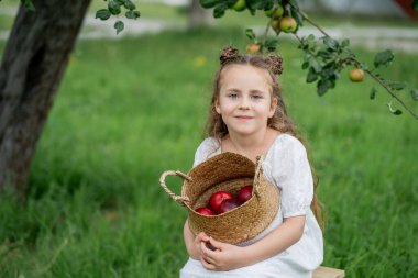 Uzun saçlı, mavi gözlü, beyaz elbiseli tatlı kıvırcık kız bahçeden elma topluyor..