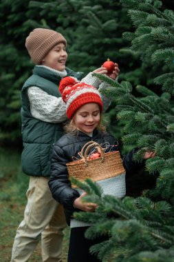 Ormanda Noel ağacı süsleyen şirin çocuklar. Tatiller.