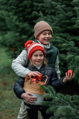 Ormanda Noel ağacı süsleyen şirin çocuklar. Tatiller.