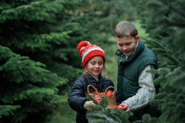 Ormanda Noel ağacı süsleyen şirin çocuklar. Tatiller.