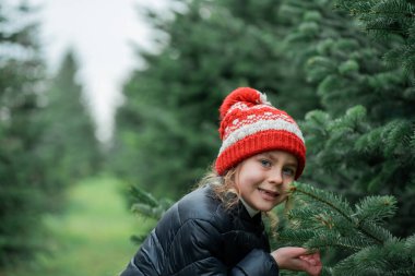 Şirin küçük kız markette Noel ağacını seçiyor. Tatiller.