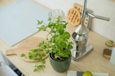 Bej ışıklı mutfakta ev yapımı limonata yapıyorum. Tahtada limon ve limon, kavanozda nane şekeri. Meyve sıkacağı.