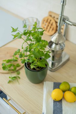 Bej ışıklı mutfakta ev yapımı limonata yapıyorum. Tahtada limon ve limon, kavanozda nane şekeri. Meyve sıkacağı.