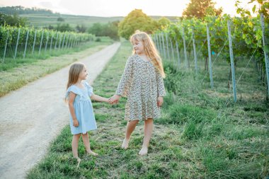 Küçük kız kardeşler yazın güneşin altında üzüm bağlarının arasında yürüyorlar. Mutlu çocukluk.
