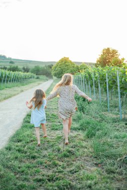 Küçük kız kardeşler yazın güneşin altında üzüm bağlarının arasında yürüyorlar. Mutlu çocukluk.