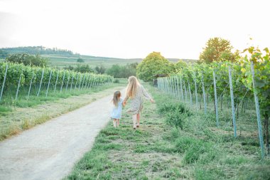Küçük kız kardeşler yazın güneşin altında üzüm bağlarının arasında yürüyorlar. Mutlu çocukluk.
