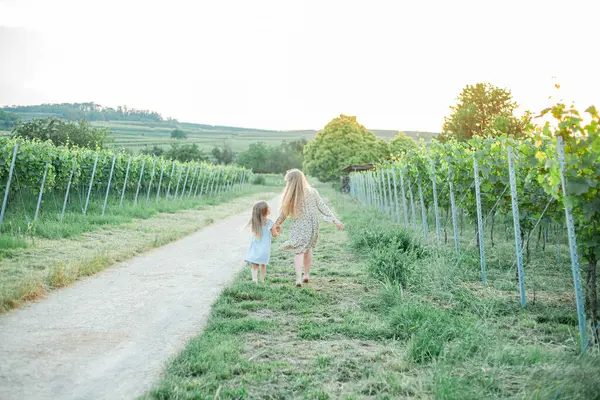 Küçük kız kardeşler yazın güneşin altında üzüm bağlarının arasında yürüyorlar. Mutlu çocukluk.