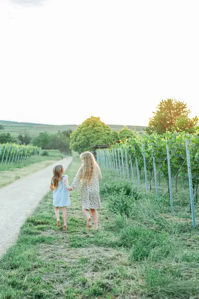 Küçük kız kardeşler yazın güneşin altında üzüm bağlarının arasında yürüyorlar. Mutlu çocukluk.