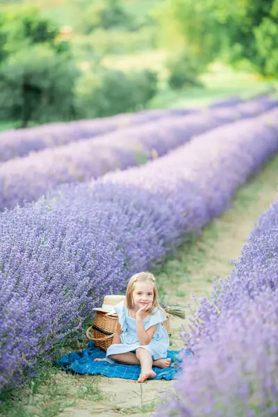 Lavanta tarlasında küçük mutlu bir kız. Mor çiçeklerin yanındaki mavi elbiseli çocuk portresi. Güneşli yaz.