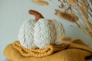 Evin iç kısımlarındaki çekmecelerin üzerine balkabağı desenli sonbahar süveterleri örüyordu. Örgüt.