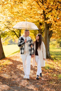 Yağmur mevsimi. Sonbahar parkında şemsiye altında yürüyen güzel bir çift. Sarı yapraklar.