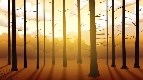 Zachód Słońca Lesie Cień Tree Trunk Wektor Tapety — Wektor stockowy