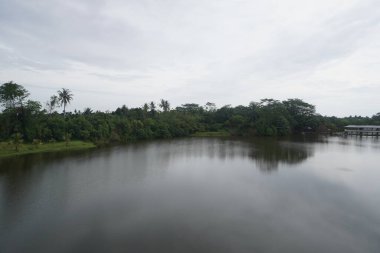 Yeşil Manzarayla çevrili Lakeside