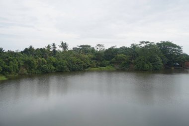 Yeşil Manzarayla çevrili Lakeside