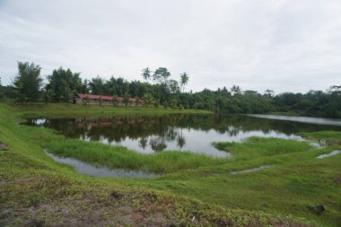 Yeşil Manzarayla çevrili Lakeside
