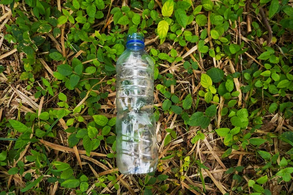 Plastic bottle waste in the middle of green grass nature close up