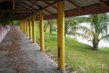 Doğanın ortasında terk edilmiş altın sütunlar.