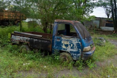 Abandoned broken trucks in the middle of nature covered in wild bushes close up