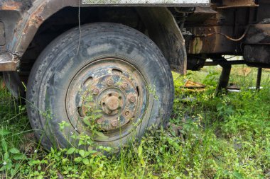 Abandoned broken trucks in the middle of nature covered in wild bushes close up