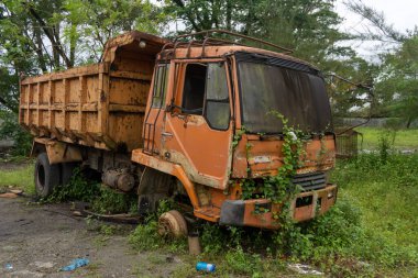 Abandoned broken trucks in the middle of nature covered in wild bushes close up