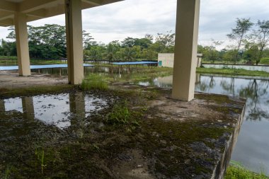 Abandoned building in the middle of nature lake side landscape