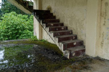 Abandoned stairs with mossy textures in damp area landscape