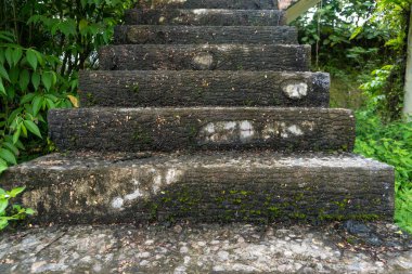 Abandoned stairs with mossy textures in damp area landscape