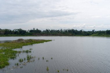 View on the edge of the lake water in the natural landscape