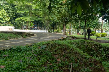 Footpath in a green park in the middle of the city landscape