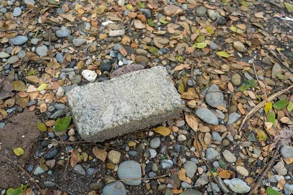 Concrete bricks on top of pebbles and fallen leaves in the middle of a city park construction close up